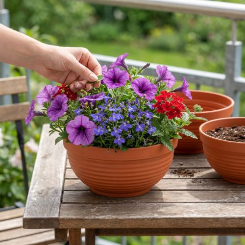 položky R-miska plastová terakota Ø19cm, 10 kusů
