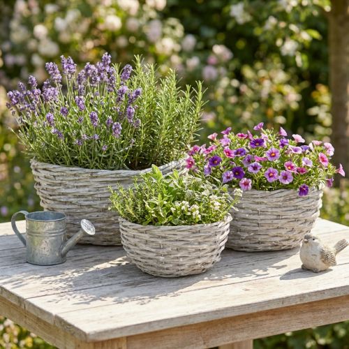 Sada proutěných květináčů, bílo-šedá, dekorace v shabby chic, 3 kusy | Floristik24.cz