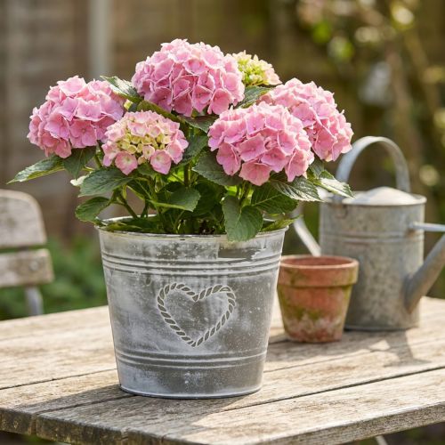 Kovový květináč Shabby Chic s motivem srdce, Ø22cm, V17,5cm | Floristik24.cz