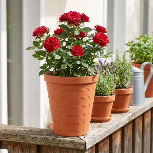 Hrnec na růže plastový 19cm terakota 1 ks | Floristik24.cz