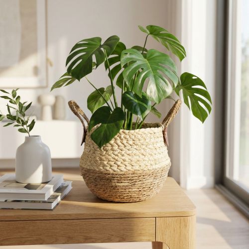 Dvoubarevný koš z mořské trávy s uchy - úložný a pěstební koš - přírodní a hnědý Ø25cm V24cm | Floristik24.cz