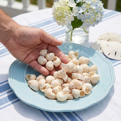 Mušle Umachi 500 g | Floristik24.cz