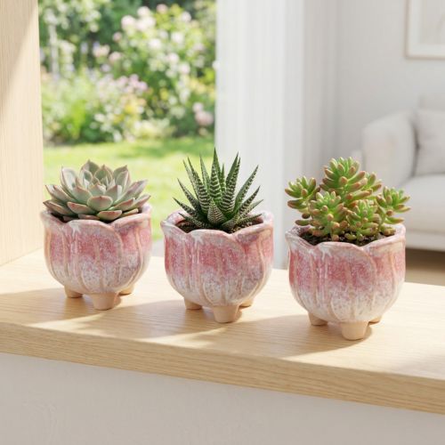 Mini květináč keramický květináč rozmanitý Ø8cm V7cm 3ks | Floristik24.cz