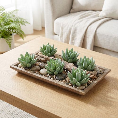 položky Sukulentní Echeveria Ø6,5cm L11cm 6 ks