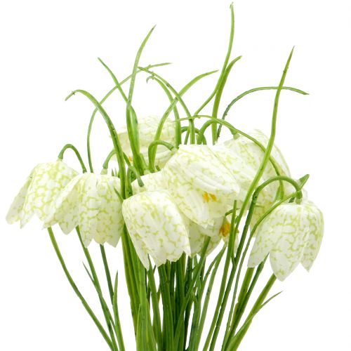 položky Šachovnicové květiny Fritillaria umělé bílé, zelené 40cm 12ks