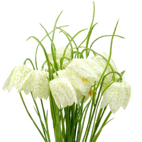 Floristik24 Šachovnicové květiny Fritillaria umělá bílá, zelená 40cm 12 ks