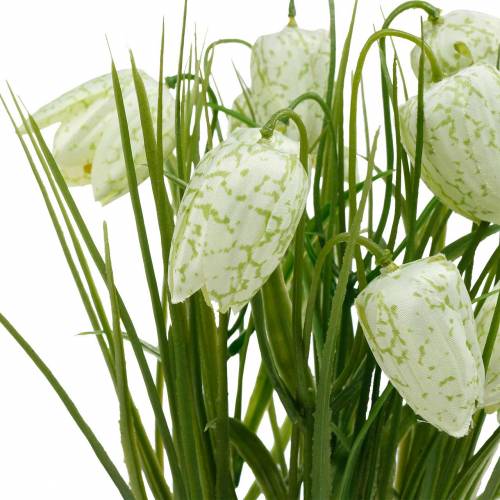 Floristik24 Fritillaria v květináči, šachovnicový květ zelenobílý, umělý květ
