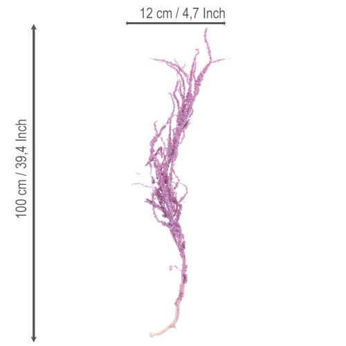 položky Sušené květiny liščího ocasu, barvené, pro moderní bytovou dekoraci, 100 cm, 5 kusů