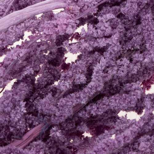 položky Sušené květiny liščího ocasu, barvené, pro moderní bytovou dekoraci, 100 cm, 5 kusů