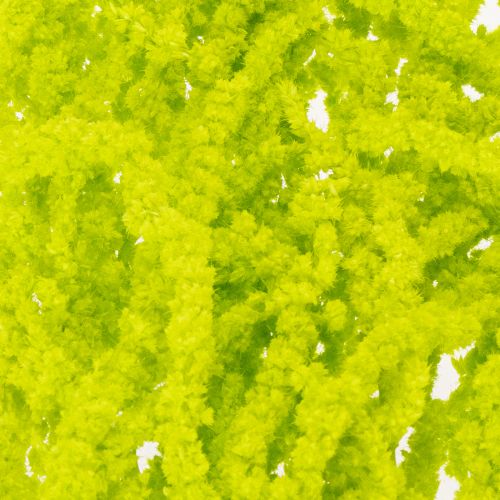 položky Sušené květiny liščího ocasu, barvené, pro speciální bytovou dekoraci a jedinečné akcenty, 100 cm, 5 kusů