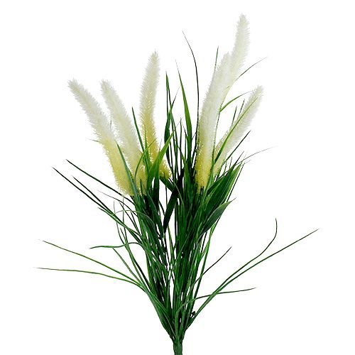 Floristik24 Foxtail tráva zelená, bílá 63cm