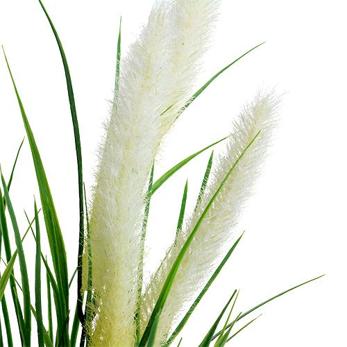 položky Foxtail tráva zelená, bílá 63cm