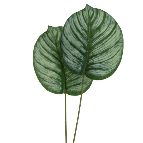 položky Calathea umělý koš Marante umělé rostliny zelený 51cm