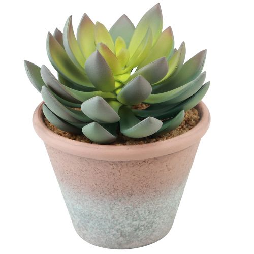 položky Sukulentní rostlina v květináči Echeveria umělá zelená vintage Ø15cm H16cm