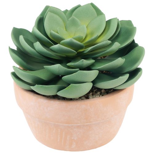 položky Sukulentní rostlina v květináči Echeveria umělá zelená Ø15cm