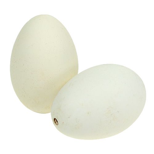 Floristik24 Husí vejce bílek 7cm - 8cm 6ks