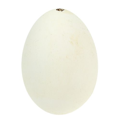 Floristik24 Husí vejce bílek 7cm - 8cm 6ks