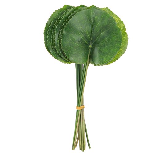 položky Galax Urceolata Listy umělé zelené Ø10cm L23cm 12 ks