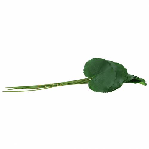 Floristik24 Bronzový plech Galax umělá zelená Ø9cm V30cm 12ks