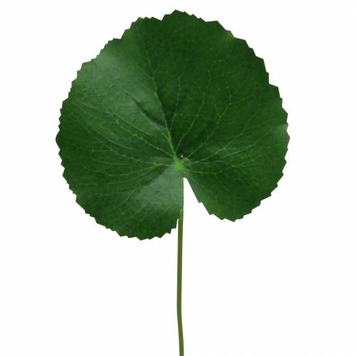 Floristik24 Bronzový plech Galax umělá zelená Ø9cm V30cm 12ks
