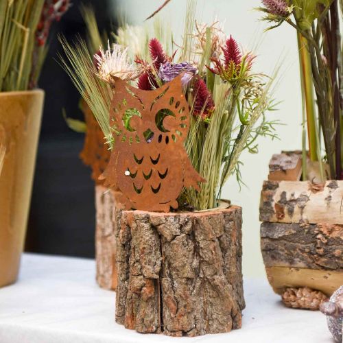 Floristik24 Zahradní kůly sova patina, podzim, kovová dekorace V32cm 6ks
