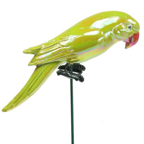 Floristik24 Zahradní hmoždinka papoušek žlutý 16cm