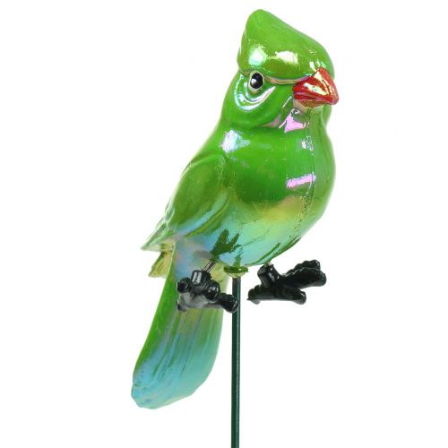 Zahradní hmoždinka papoušek zelený 16cm