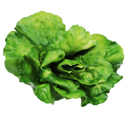 Floristik24 Zeleninový sortiment na netu