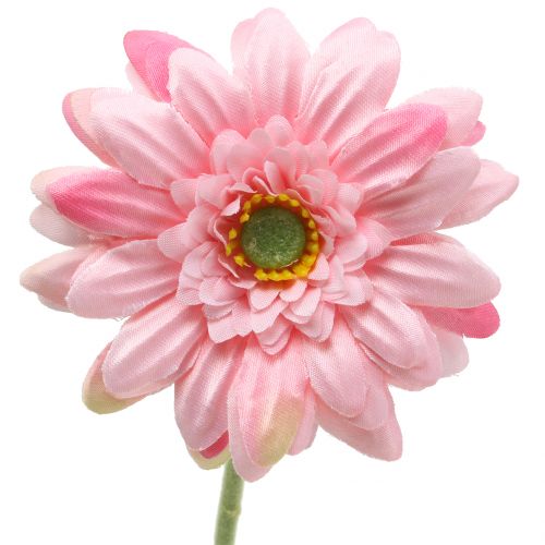 Floristik24 Gerbera růžová umělá 47cm 12ks
