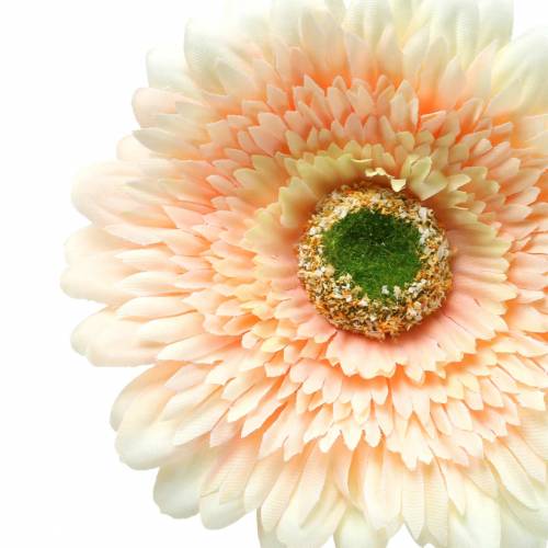 Floristik24 Umělá gerbera broskev 62cm 6ks