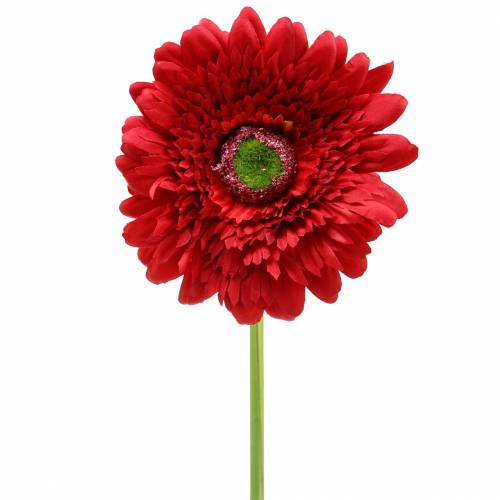 Floristik24 Umělá gerbera červená 62cm 6ks