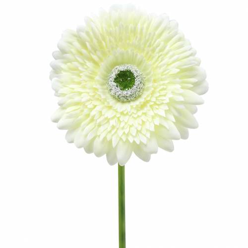 Gerbera umělá bílá 62cm 6 ks
