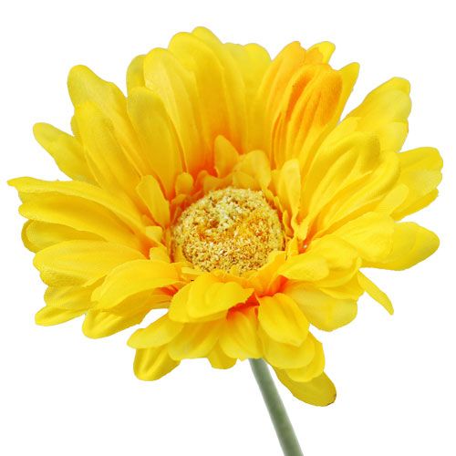 Floristik24 Gerbera umělá žlutá Ø10cm L55cm 6ks
