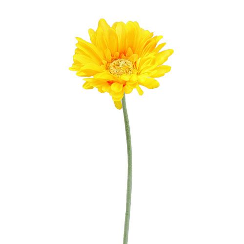 Floristik24 Gerbera umělá žlutá Ø10cm L55cm 6ks