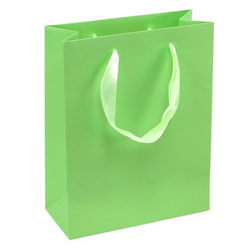 Floristik24 Dárková taška světle zelená 23 cm x 18 cm x 8 cm