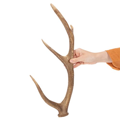 Dekorativní umělé parohy, rustikální dekorace chaty, 50 cm | Floristik24.cz