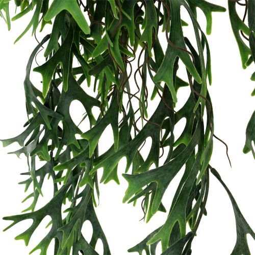 Floristik24 Parožní keř kapradiny závěsný 84cm