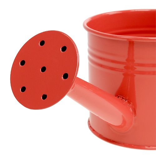 Floristik24 Konev Orange Mix Ø11cm V9cm 8ks
