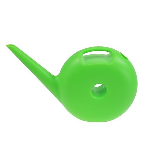 Floristik24 Konev kobliha malá zelená