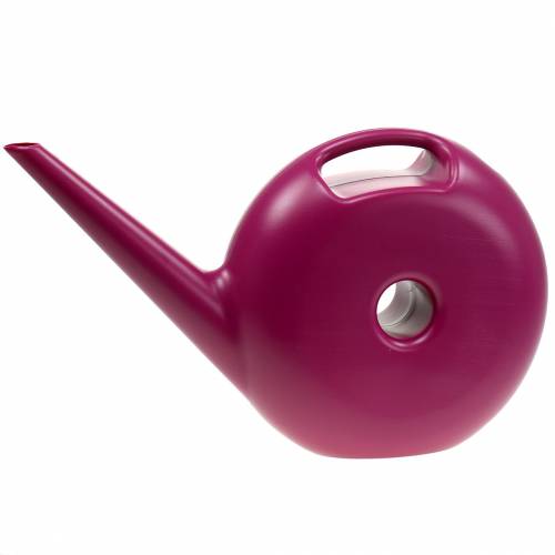 Floristik24 Konev Donut Pink 4,8l