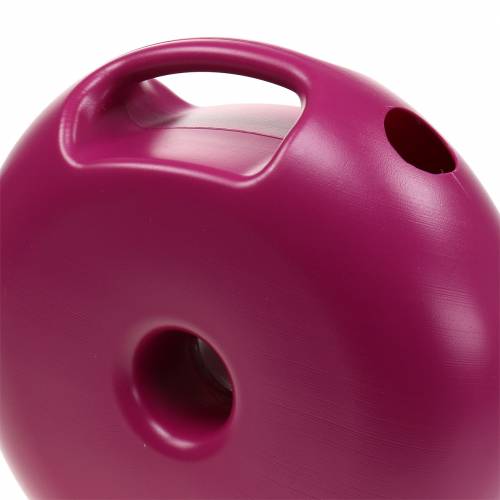 Floristik24 Konev Donut Pink 4,8l