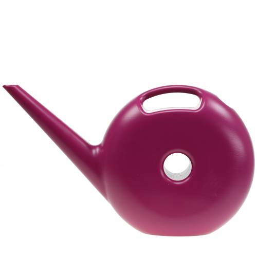 Floristik24 Konev Donut Pink 4,8l