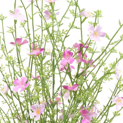 Floristik24 Husí keř lila 60cm