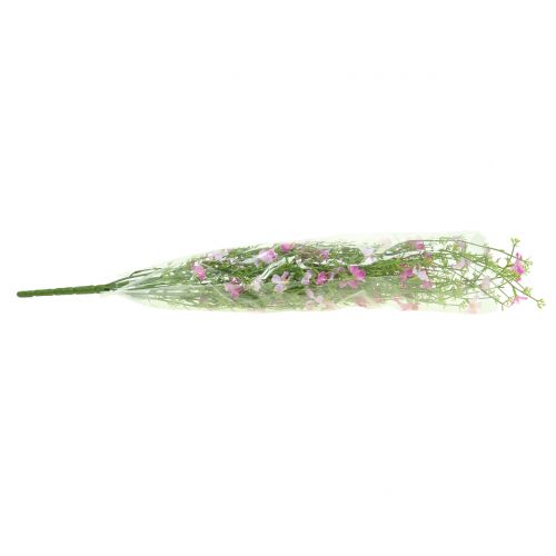 Floristik24 Husí keř lila 60cm