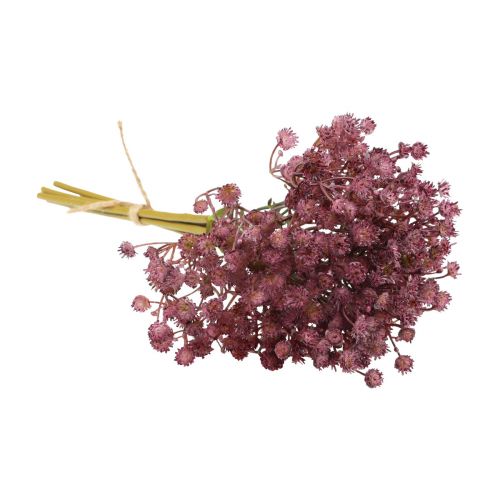 položky Gypsophila Gypsophila Gypsophila umělá fialová 35cm 5 ks