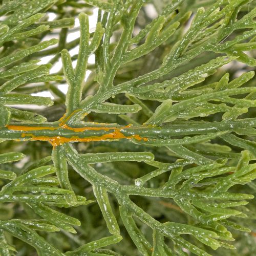 Girlanda z umělé jedle na dveře a okna, 200 cm | Floristik24.cz