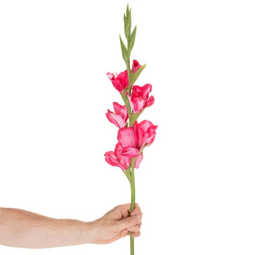 Umělá gladiolasa s ozdobnými květy, 88 cm | Floristik24.cz