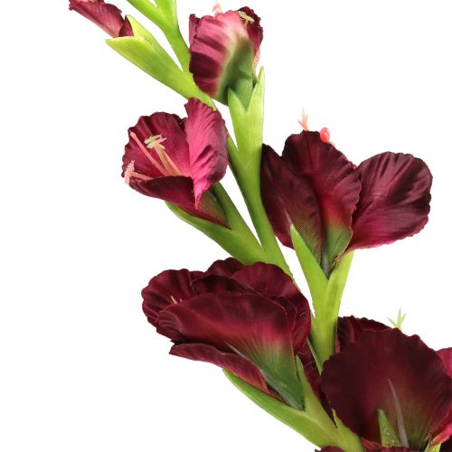 Floristik24 Mečík Real-Touch Bordeaux 93 cm