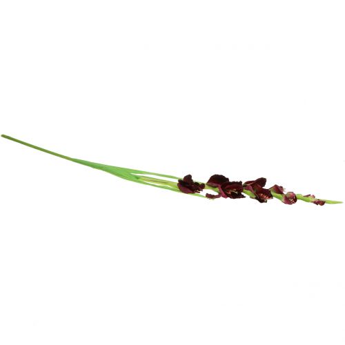 Floristik24 Mečík Real-Touch Bordeaux 93 cm
