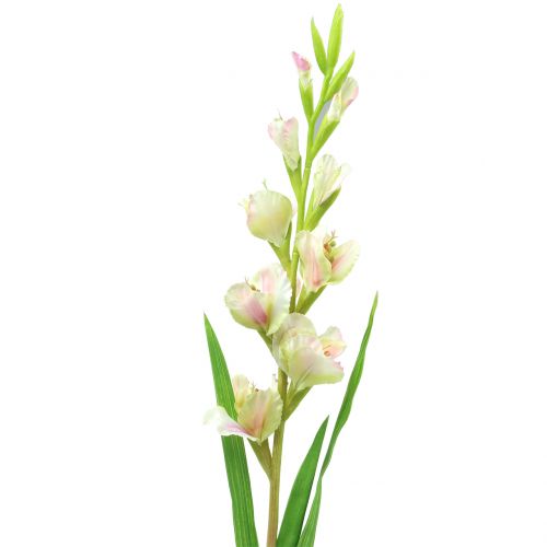 Floristik24 Mečík bílý 93cm